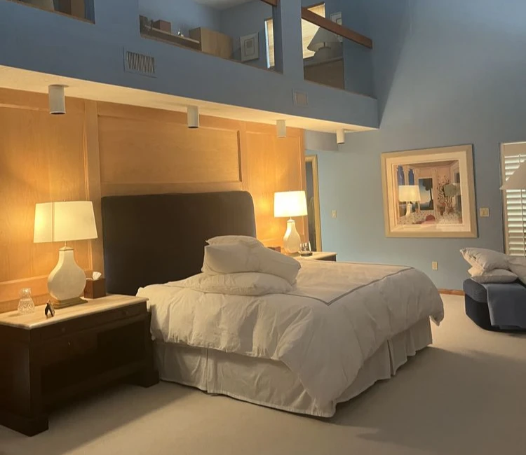 Home Cleaner